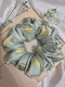 Scrunchie Yuzu Citrus XL