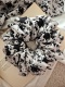 Scrunchie duża gumka do włosów beżowa w czarne kwiaty - Blossom XXL